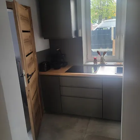 公寓式酒店 Noclegi Bielawa